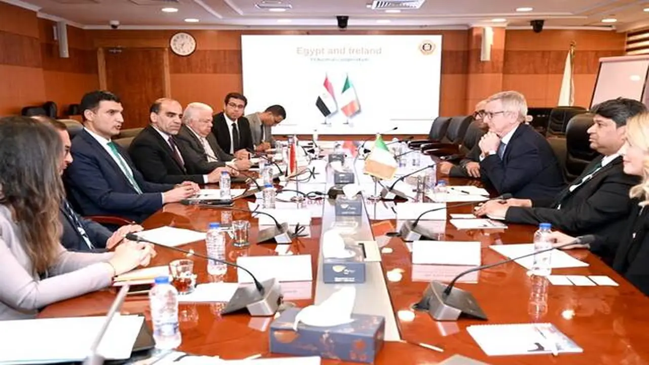 مصر وأيرلندا تبحثان تعزيز التعاون الصناعي بين البلدين